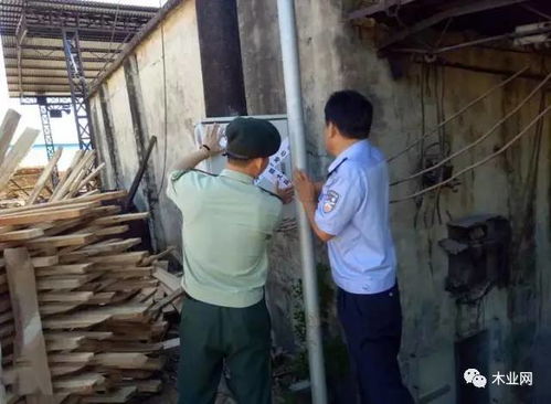 海南萬(wàn)寧重拳出擊，11家消防隱患木材加工廠被依法查封